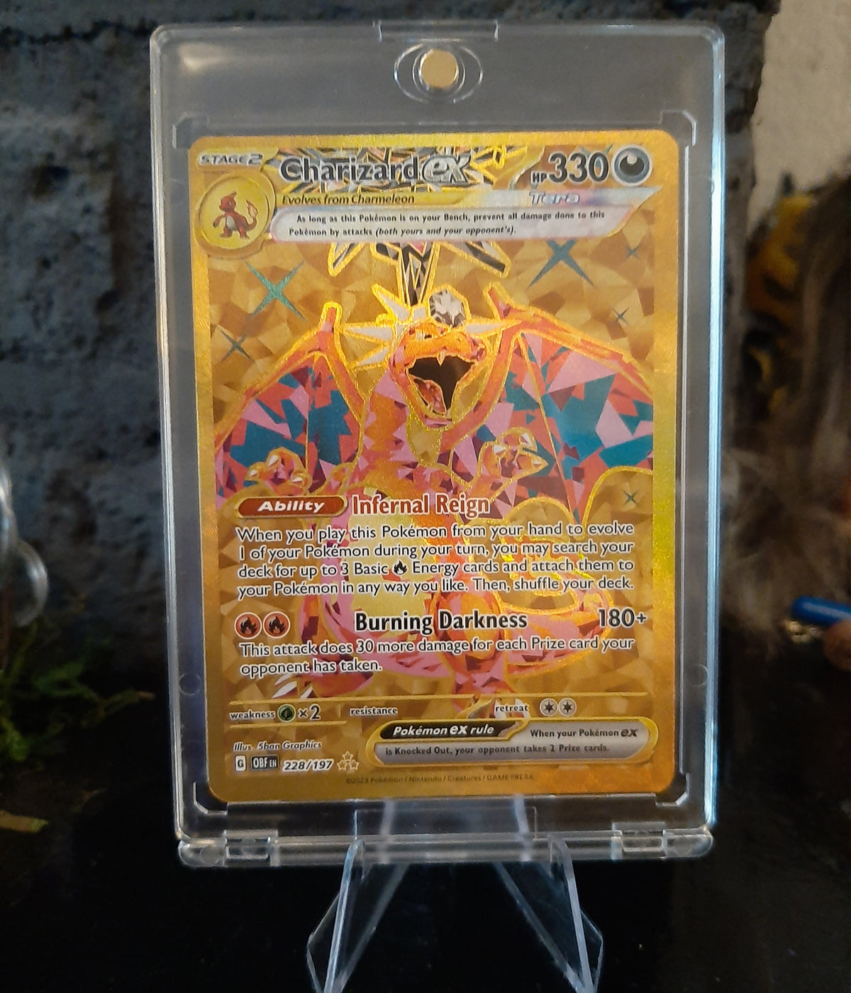 1-kaart acryl case met gouden Charizard kaart