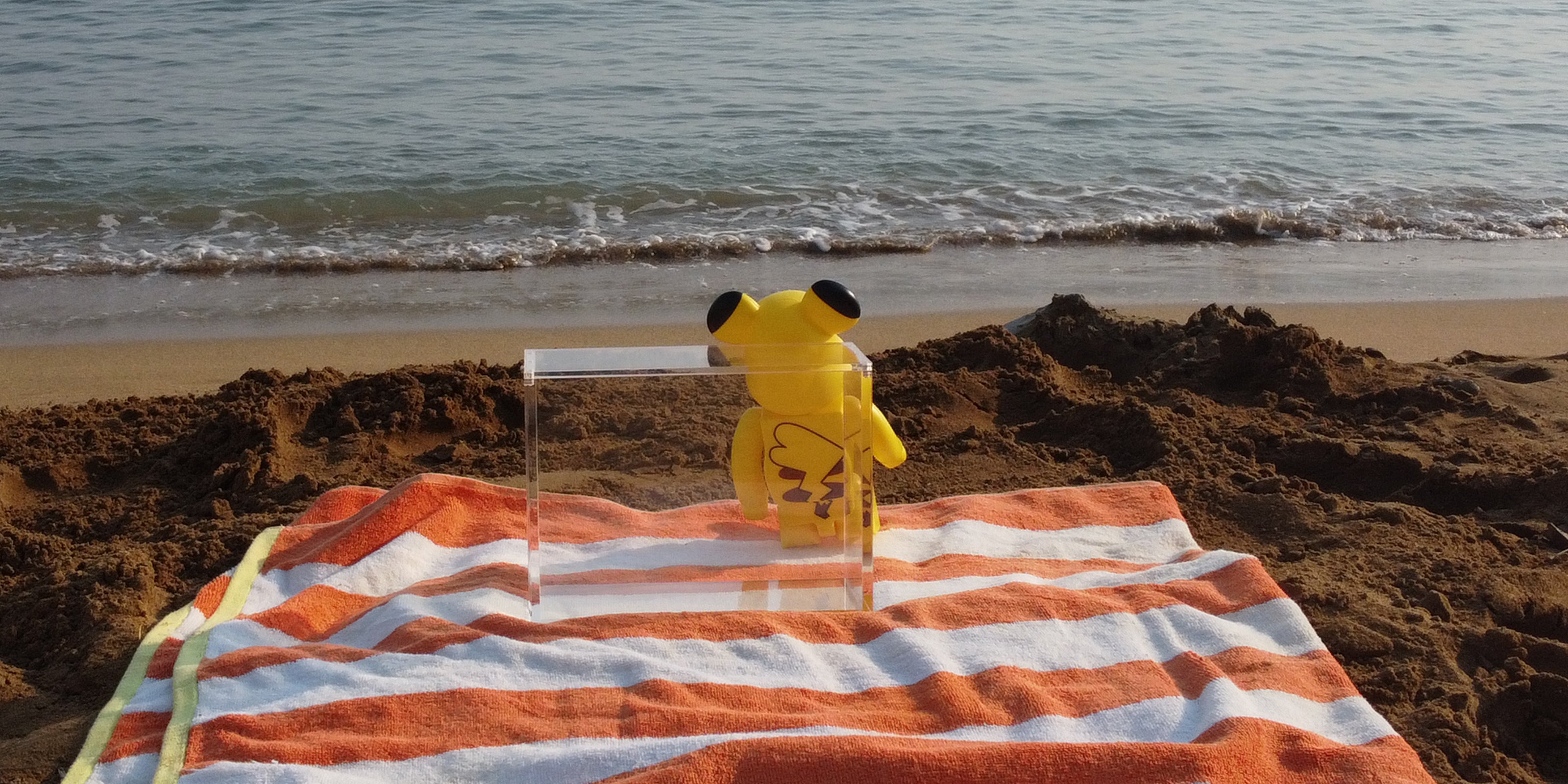 acryl case Pokemon met pikachu