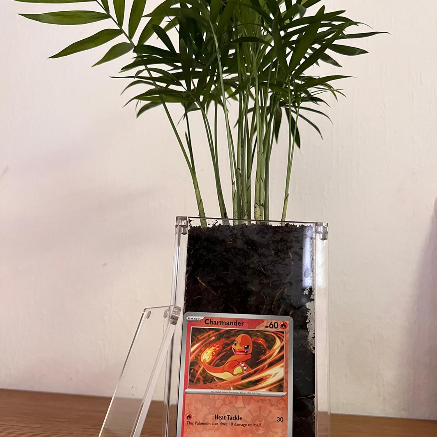 Acryl case als plantenbak