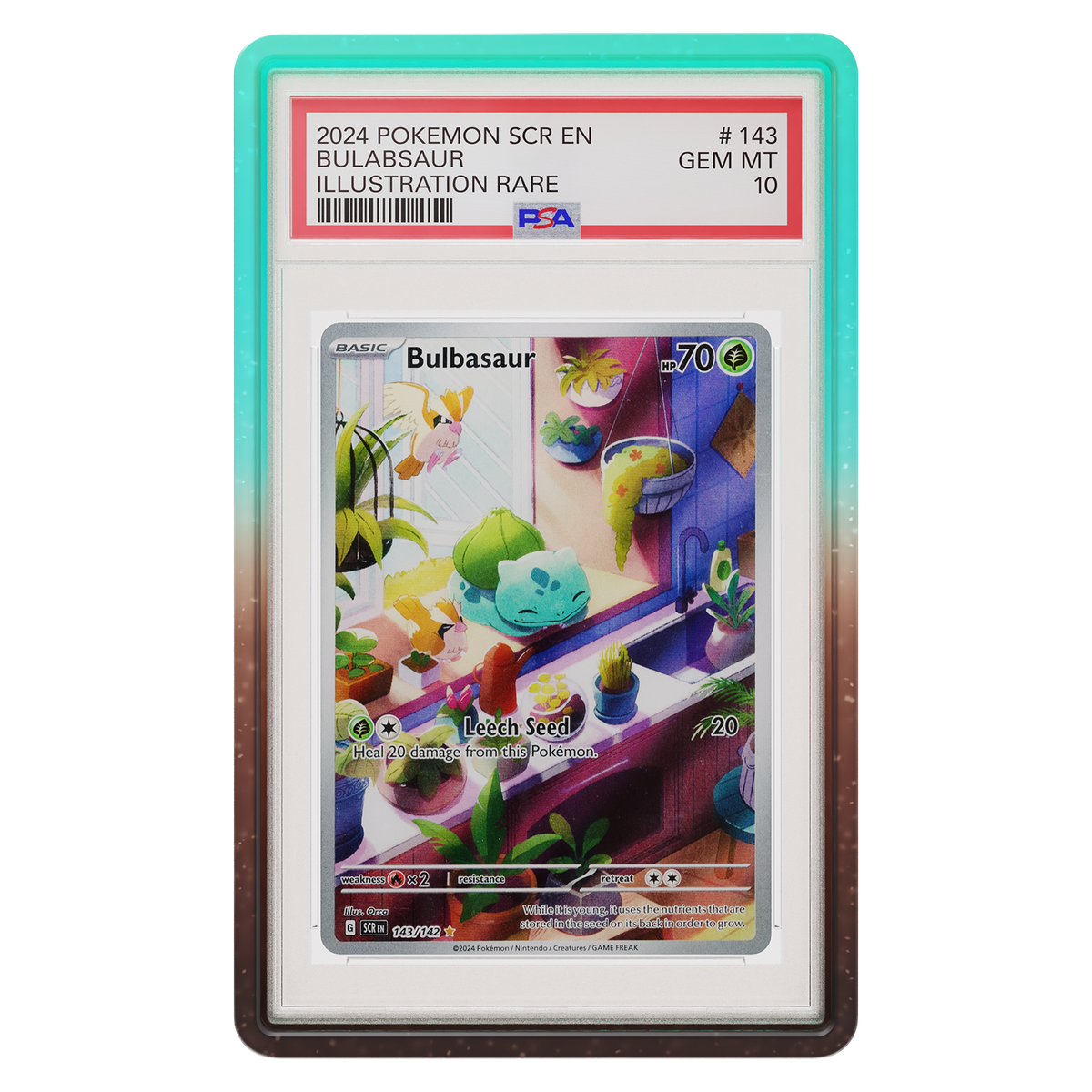 GradedGuard PSA Limited Edition Case - Mint Chip