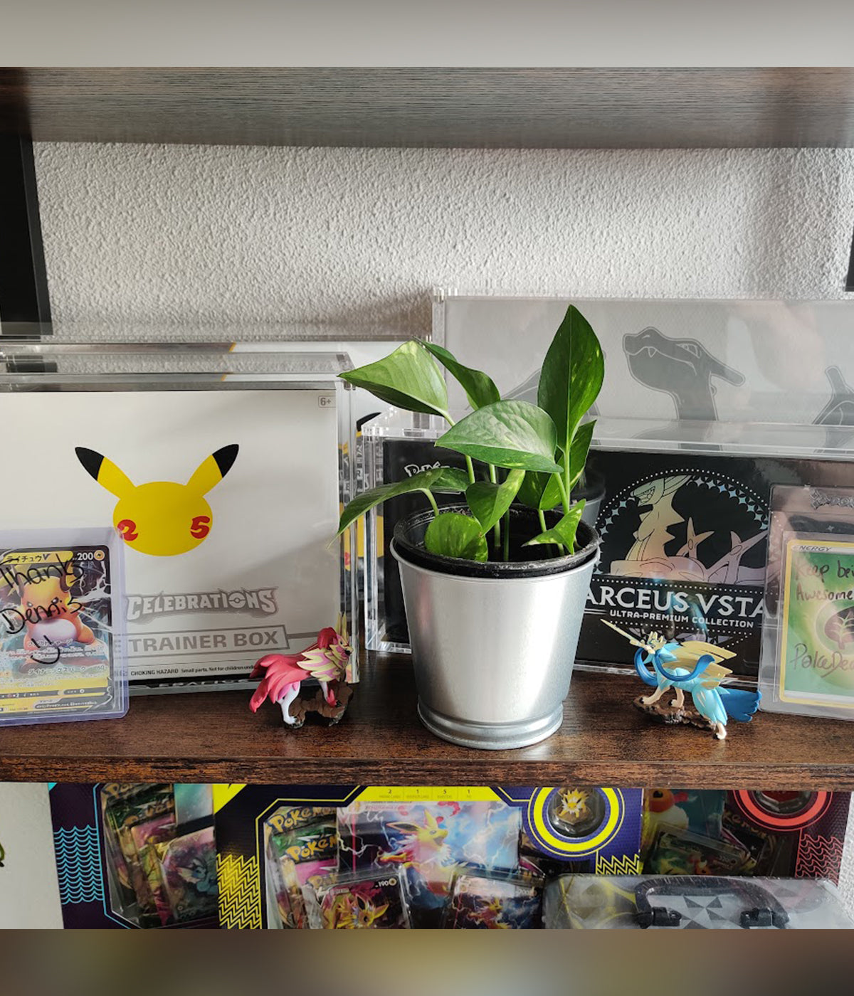 Elite Trainer Box acryl case, UPC Ultra Premium-Collection Arceus acryl case, UPC Ultra Premium-Collection Charizard acryl case